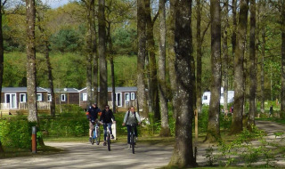 Ciclistas recorren los senderos arbolados del Camping Seasonova La Forêt en Pays de la Loire, Francia.