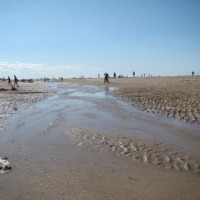 Plage à marée basse avec des personnes profitant du sable près de Merville Franceville Plage en Normandie.