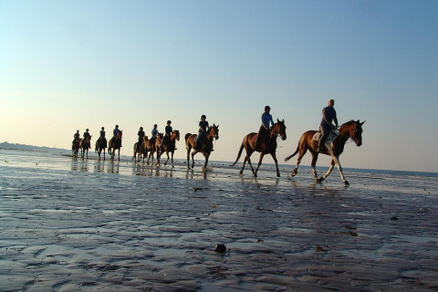 Een groep ruiters paardrijdt langs het strand in de buurt van Merville Franceville Plage, Normandië.