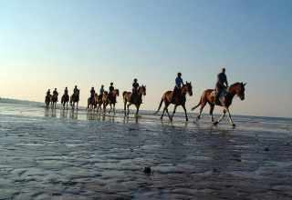 A group of horseback riders travels along the beach near Merville Franceville Plage in Normandy, France.