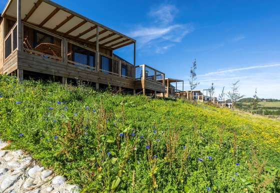 Cabañas de madera en una colina con flores silvestres y cielo azul en Cottage Premium Lodge.
