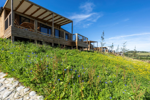 Holzhütten am Hang mit Wildblumenwiese, blauer Himmel und Aussicht auf Cottage Premium Lodge-Landschaft.