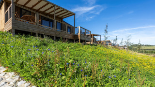 Cabanes en bois sur colline fleurie avec ciel bleu, vues botaniques au Cottage Premium Lodge.