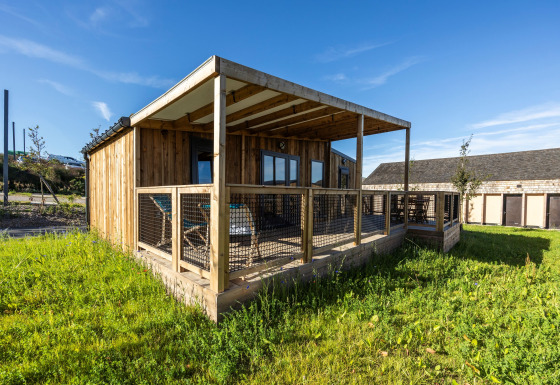 Prestige Cottage lodge met houten buitenkant, overdekt terras en grasveld onder een heldere blauwe lucht.
