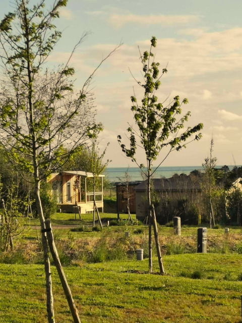 Udsigt over grønt område med træer og hytter ved Cottage at Domaine Seasonova Saâne et Mer i Frankrig.