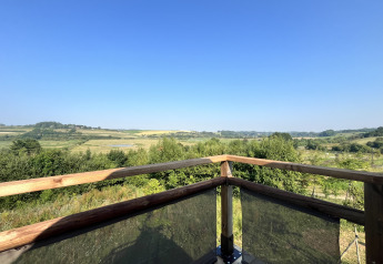 Uitzicht vanop het terras van een safaritent met houten leuning op groene velden en blauwe lucht.