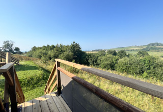 Vista desde la terraza de una tienda safari con campos verdes y árboles bajo un cielo azul despejado.