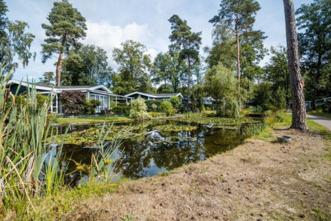 Nature Chalet en Bospark Markelo, Países Bajos, rodeado de árboles y un estanque lleno de lirios acuáticos.