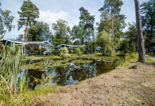 Nature Chalet en Bospark Markelo, Países Bajos, rodeado de árboles y un estanque lleno de lirios acuáticos.