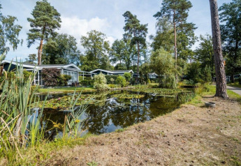 Naturchalet ved Bospark Markelo i Holland, omgivet af træer og en dam med åkander og grøn bevoksning.