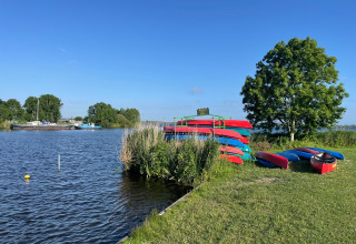 Kajakker og kanoer ved søbred på feriepark til glamping, blå himmel, grønne træer og både i baggrunden.