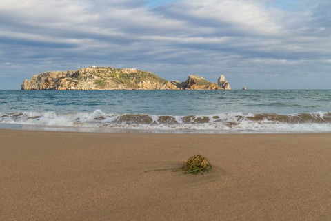 Vista di una spiaggia sabbiosa con alghe, onde leggere e un'isola rocciosa sotto cielo nuvoloso in Catalogna, Spagna.