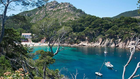 Scenic bay near Pals, Catalonia, with turquoise water, anchored boats, lush trees and mountains behind.