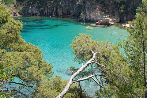 Stunning turquoise bay with clear water and rocky cliffs surrounded by pines near Pals, Catalonia, Spain, on a sunny day.