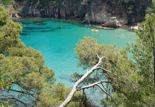 Stunning turquoise bay with clear water and rocky cliffs surrounded by pines near Pals, Catalonia, Spain, on a sunny day.