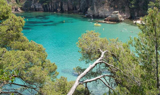 Hermosa cala de aguas turquesas y acantilados rodeados de pinos cerca de Pals, Cataluña, España, en día soleado.