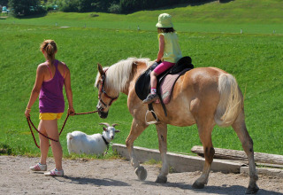 Ein Kind reitet mit Begleitung auf einem Pferd in grüner Umgebung im Camping Seeblick Toni, Tirol, Österreich.
