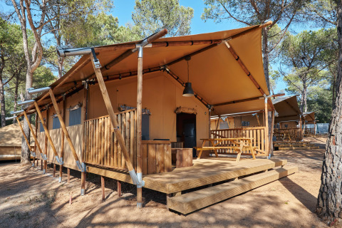 Tienda safari Glamping Tramuntana en Camping Mas Patoxas, España, rodeada de pinos y mucha luz solar.