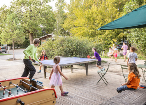 Niños y adultos juegan al ping-pong al aire libre en un parque vacacional en Île de France rodeados de árboles.
