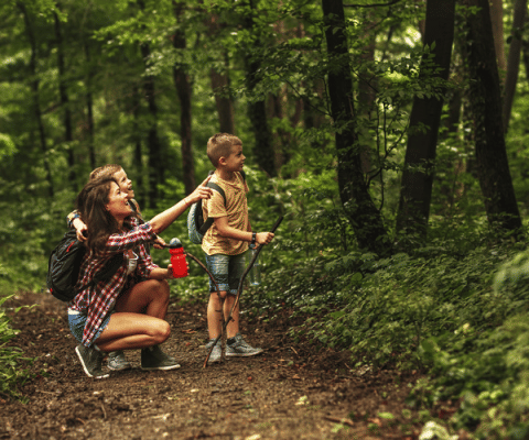 Family hiking on a forest trail at Huttopia Versailles holiday park, Île de France, France, surrounded by nature.