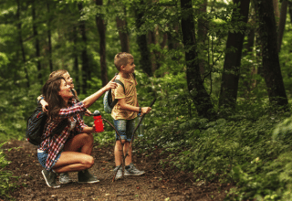 Family hiking on a forest trail at Huttopia Versailles holiday park, Île de France, France, surrounded by nature.