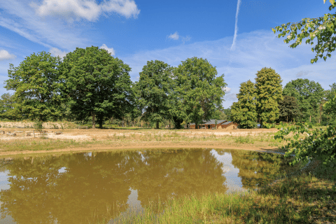 Sunny view of a pond surrounded by green trees and cabins at Huttopia De Meinweg holiday park, Limburg.
