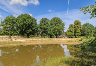 Vista soleggiata su uno stagno, alberi verdi e chalet al parco vacanze Huttopia De Meinweg, Limburgo.