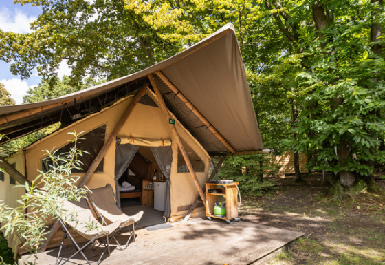 Tienda safari Canadienne con terraza de madera y sillas, rodeada de árboles verdes en el bosque.