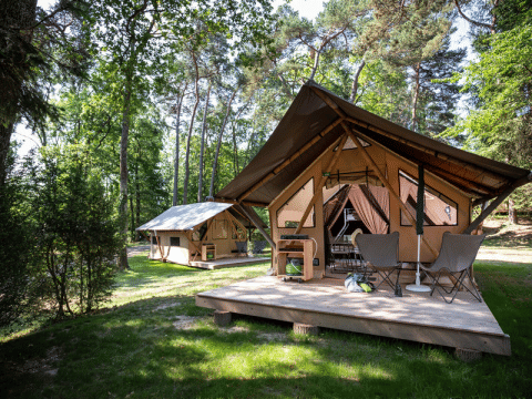 Safari tents with wooden deck in a green forest at Huttopia Versailles campsite in France