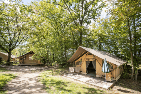 Tente safari Trappeur sur un camping en forêt, avec terrasse en bois, arbres verdoyants et mobilier extérieur.