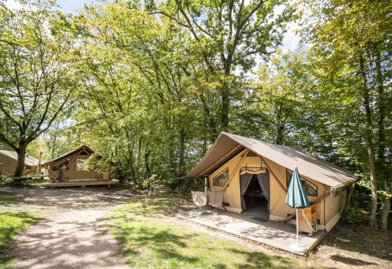 Tenda safari Trappeur in campeggio boschivo, circondata da alberi, terrazza in legno e atmosfera naturale.