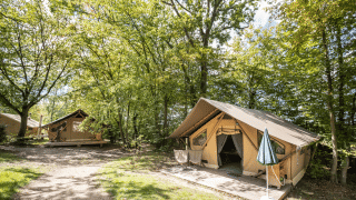 Tente safari Trappeur sur un camping en forêt, avec terrasse en bois, arbres verdoyants et mobilier extérieur.