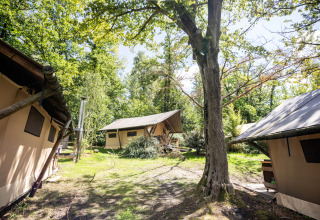 Tende safari Trappeur a Huttopia Versailles, Francia, circondate da alberi verdi e atmosfera rilassante.