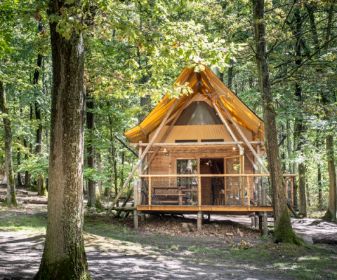 Cabin named Cahutte with yellow roof in a lush green forest, surrounded by tall trees and sunlight.