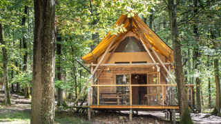 Cabaña llamada Cahutte con techo amarillo entre árboles altos en un bosque verde y luz natural.