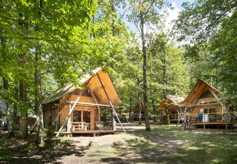 Cabañas de madera con terrazas entre árboles verdes en Cahutte, Huttopia Versailles, Francia en verano.