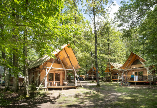 Cabañas de madera con terrazas entre árboles verdes en Cahutte, Huttopia Versailles, Francia en verano.