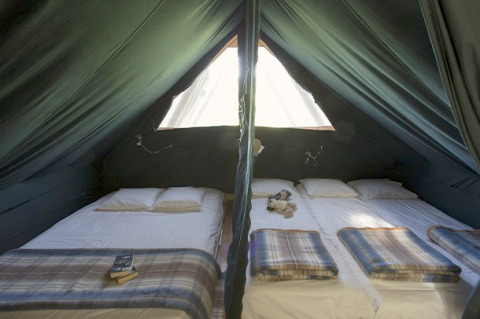 Interior view of the Cahutte at Huttopia Versailles in France, showing two beds with cozy blankets and sunlight.