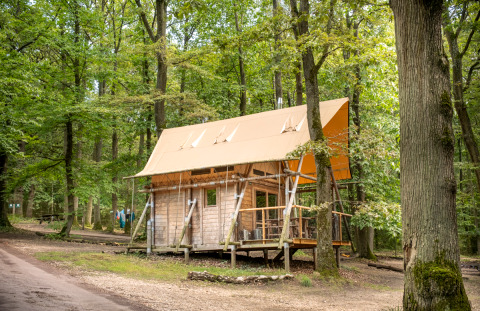 Cahutte cabin at Huttopia Versailles in France, surrounded by lush green forest and woodland trails.