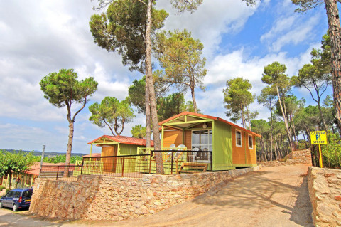 Bungalow Morea en Camping Mas Patoxas, España, rodeado de pinos y naturaleza en un día soleado.