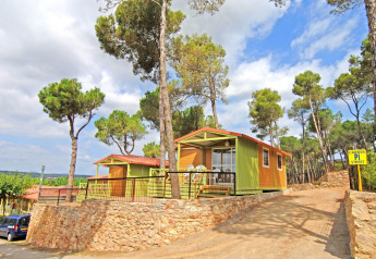 Bungalow Morea al Camping Mas Patoxas in Spagna, circondato da pini e paesaggio naturale in una giornata soleggiata.
