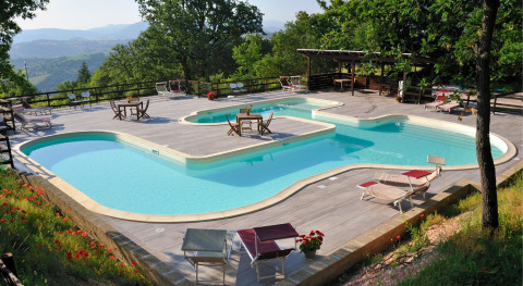 Buitenzwembad met ligstoelen bij Camping Casa Tartufo, tussen het groen in de Marche, Italië.