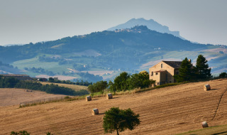 Paisaje ondulado cerca de Sassoferrato, Marche, Italia, con granja y pacas de heno en campos dorados.