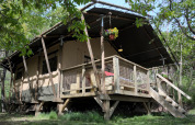 Safari tent Wood Lodge at Camping Casa Tartufo in Italy, nestled among trees, with a wooden porch.