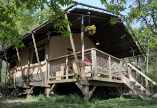 Safaritent Wood Lodge op Camping Casa Tartufo in Italië, gelegen tussen groene bomen.