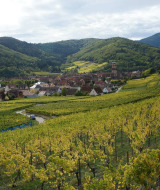 Vista de viñedos y un pueblo cerca de Saverne, Grand Est, Francia, rodeados de colinas y bosques verdes.