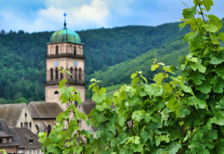 Blick auf einen Kirchturm mit grünem Kuppeldach hinter Weinreben nahe Saverne in Grand Est, Frankreich.