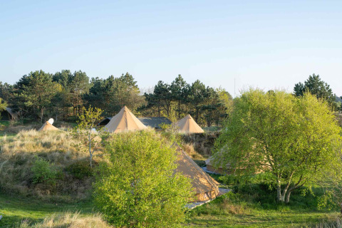 Glamping tenten in Little Canvas Escape, een vakantiepark in Friesland, Nederland, tussen het groen.