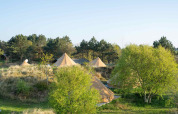 Glamping tents at Little Canvas Escape holiday park in Friesland, Netherlands, surrounded by lush greenery.