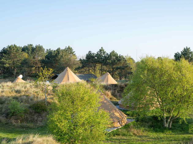 Glamping tenten bij Little Canvas Escape, een vakantiepark in Friesland, Nederland, omringd door natuur.